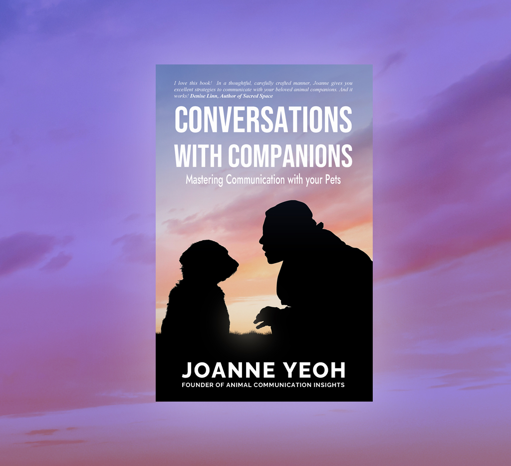 Coversations With Companions book cover