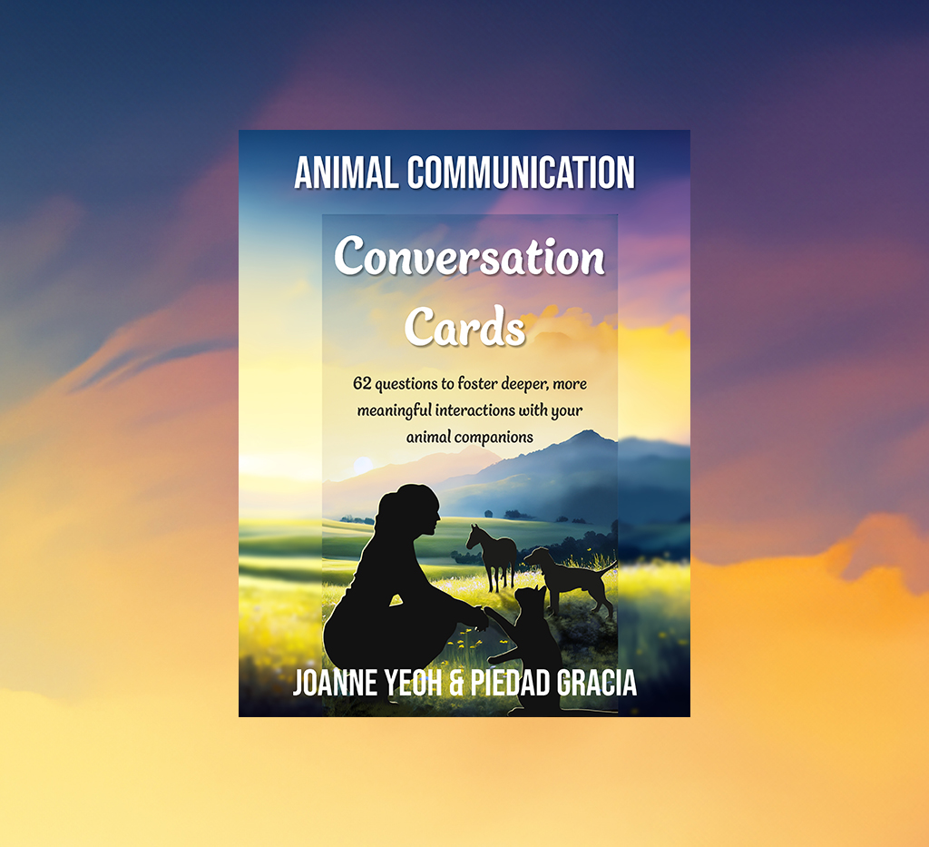 Conversation Cards