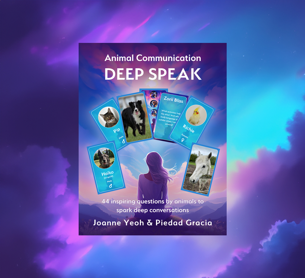 Deep Speak Cards