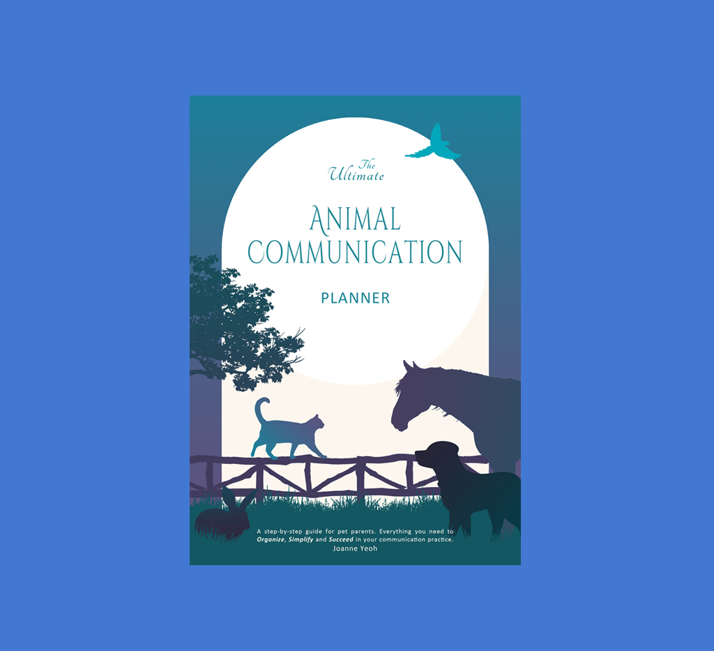 Front cover of the planner